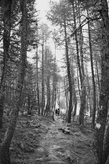 Wandern