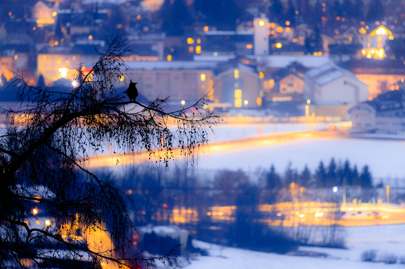 © Lukas Schäfer – Stiller Beobachter